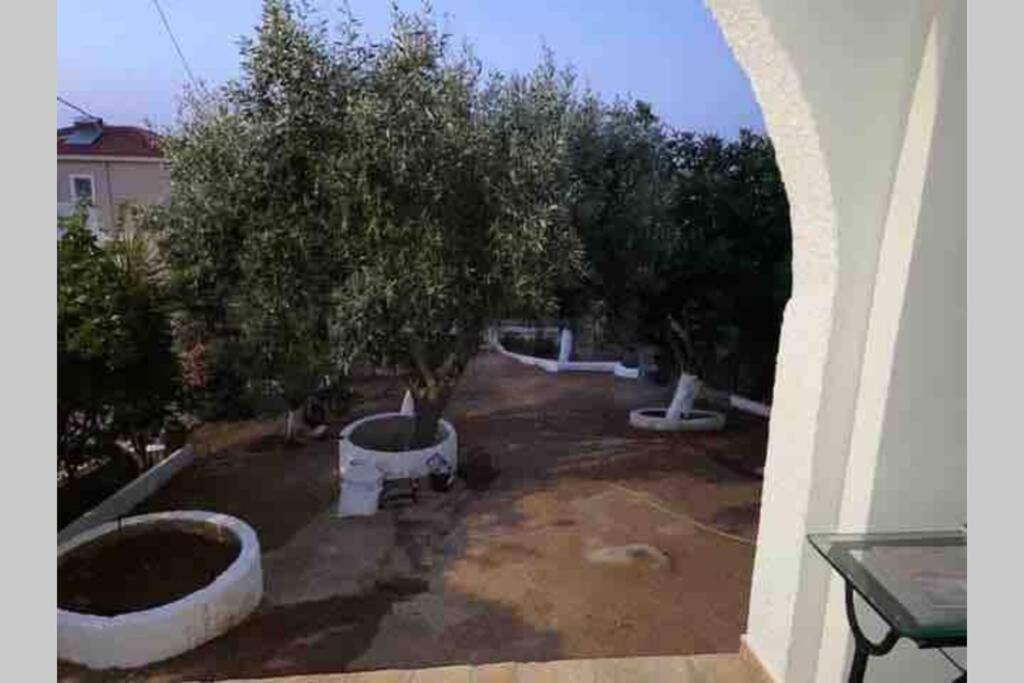 Panorama Porto Rafti Exterior foto